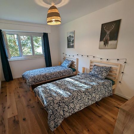 Appartement Spacieux Au Centre De La Gruyere Broc Extérieur photo